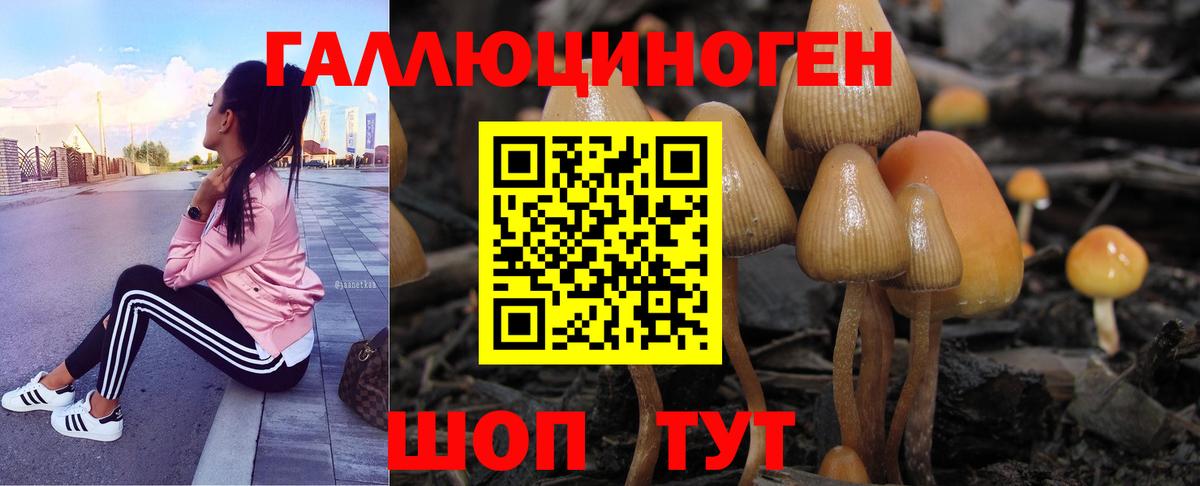 продажа наркотиков  Галлюциногенные грибы Magic Shrooms  Вход с VPN  Морозовск 